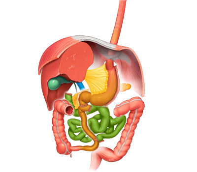 Gastrectomía